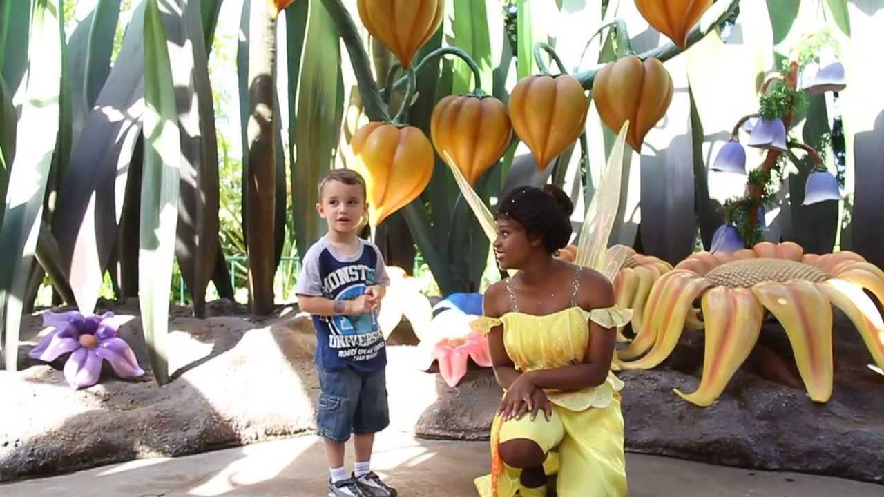 Alex meeting Iridessa at Pixie Hollow
