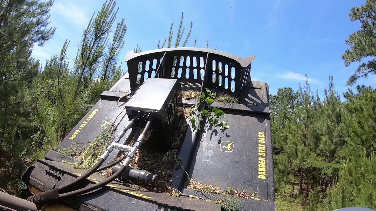 MTL XCT7 mulching big pine trees!