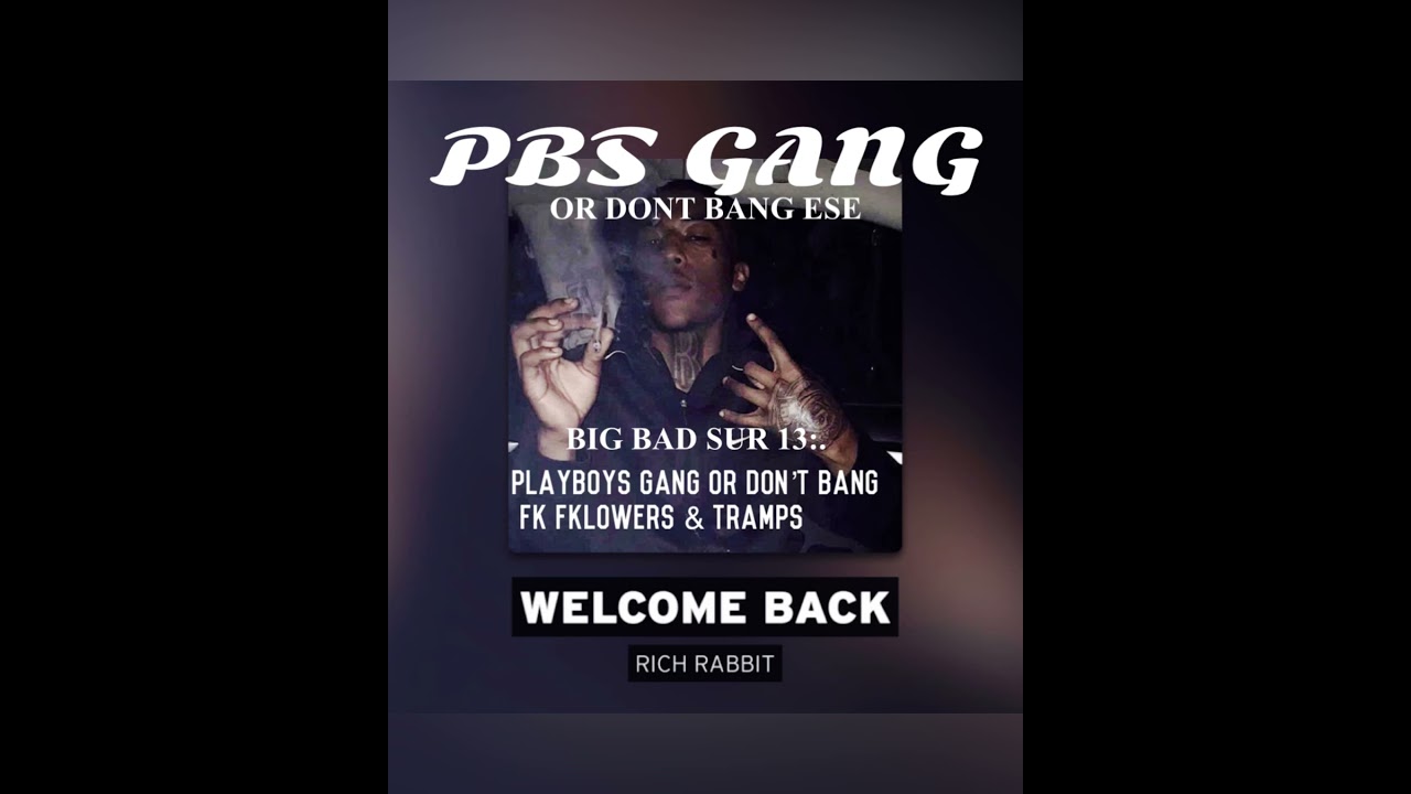 RICH RABBIT - WELCOME BACK