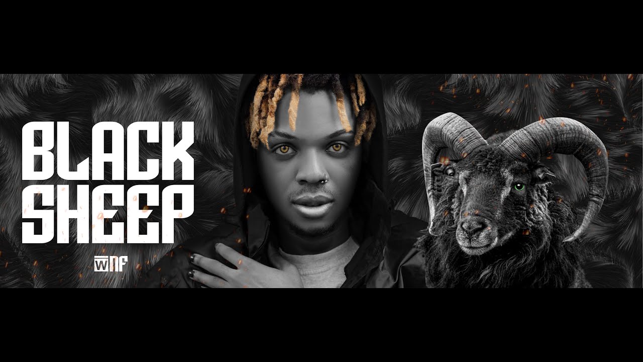 WNF - BlackSheep [Lyrics Video]