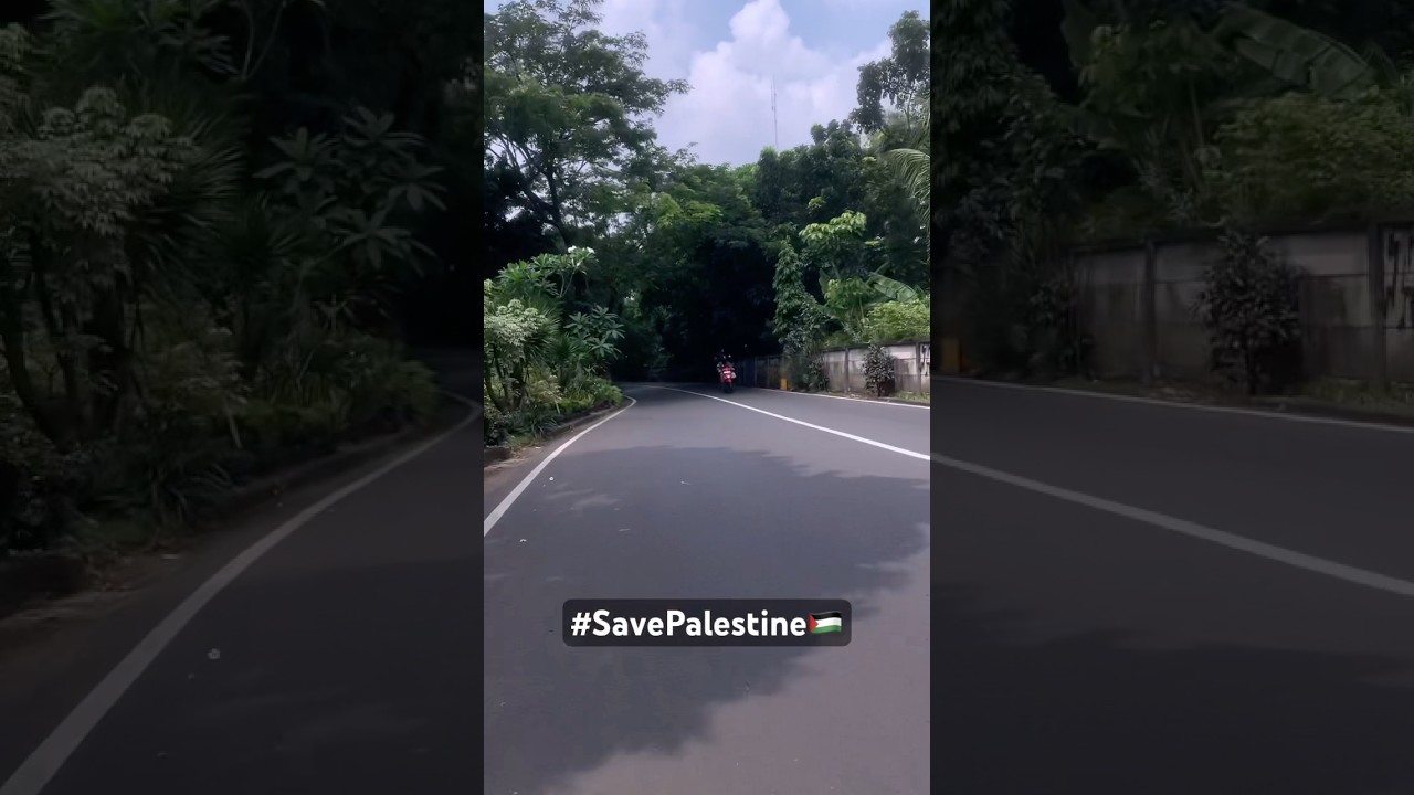 Save Palestine 🇵🇸❣️ #short #trendingshorts