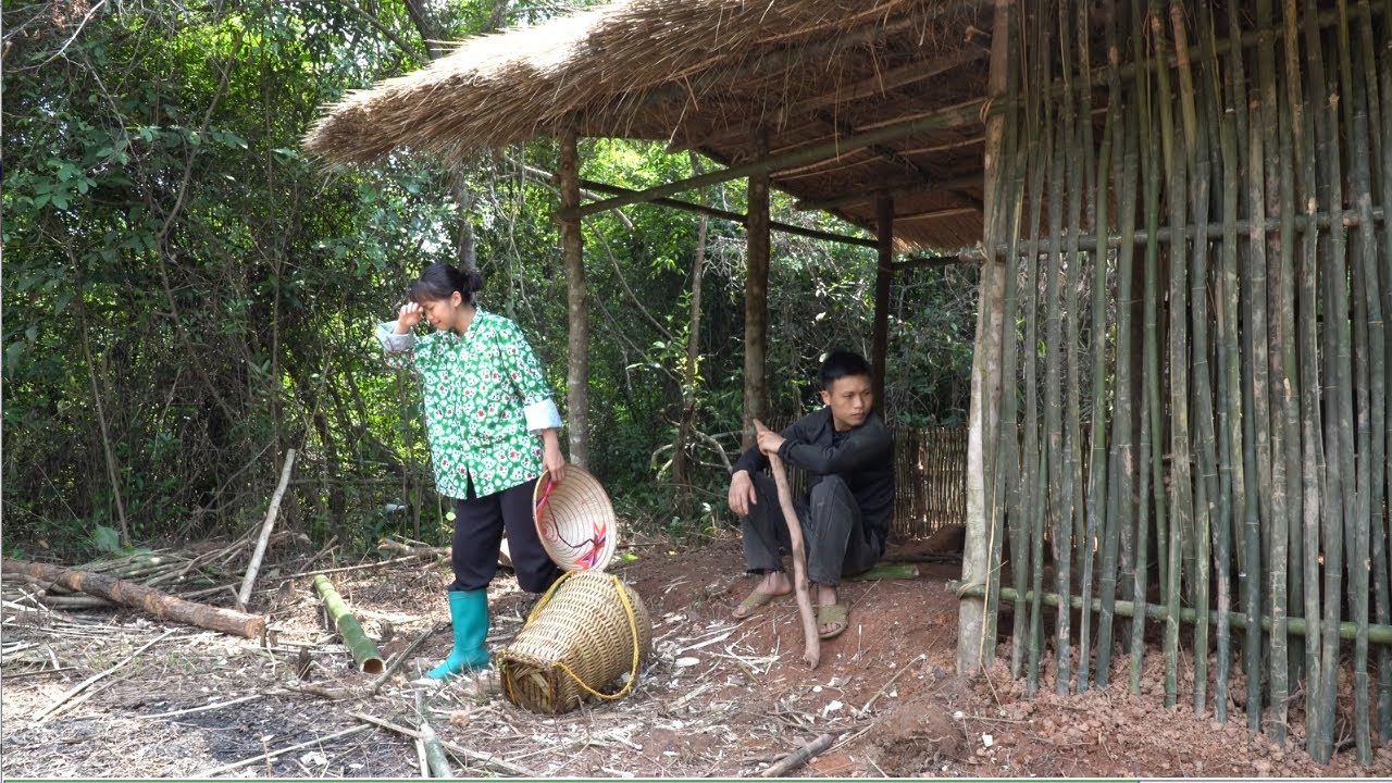Huan decided to build a career in a new forest | Ly Tieu Sua