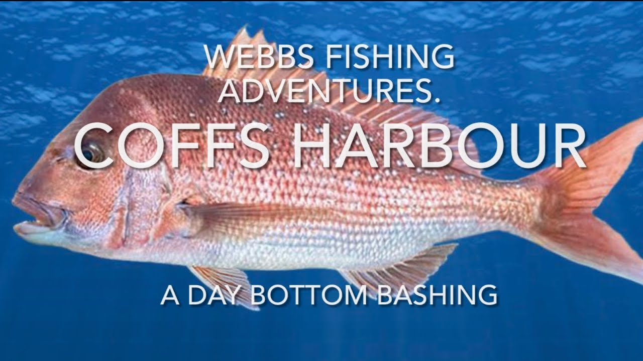 A day out at Coffs Harbour bottom bashing. #fishing #fish #ocean