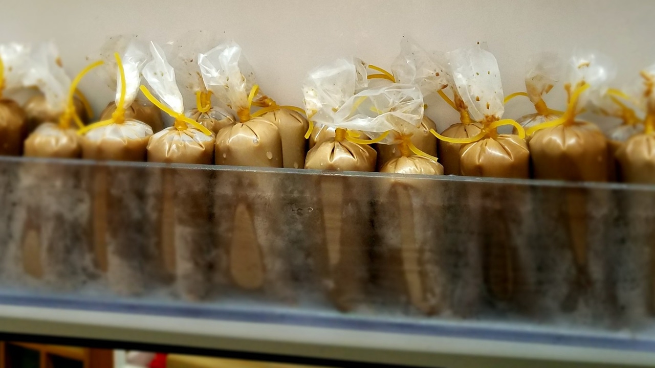 Resep Es Lilin Rasa Milo