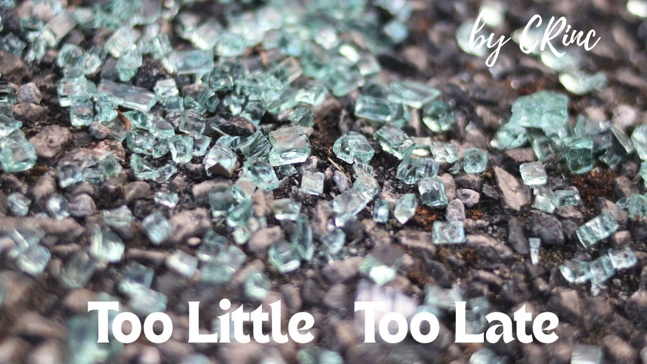 Too Little Too Late by CRinc