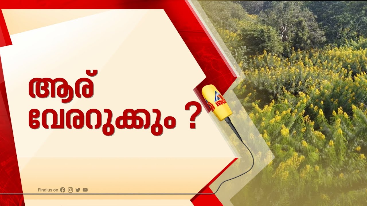 സെന്ന ആര് വേരോടെ പിഴുതെറിയും? ; മെട്രിക്ക് സെന്നയ്ക്ക് 350 രൂപയോ? |Wayanad
