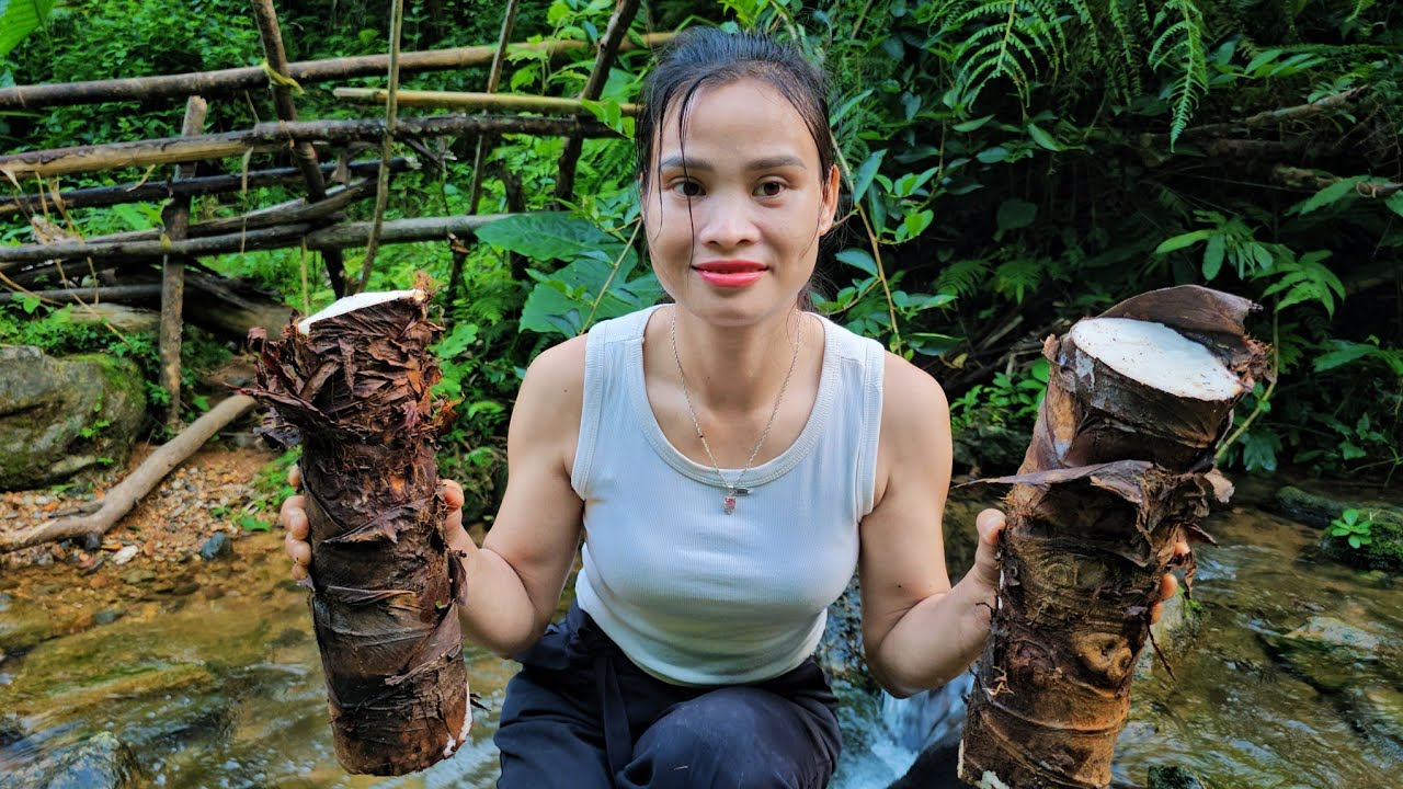 Is This Root Available Where You Live?