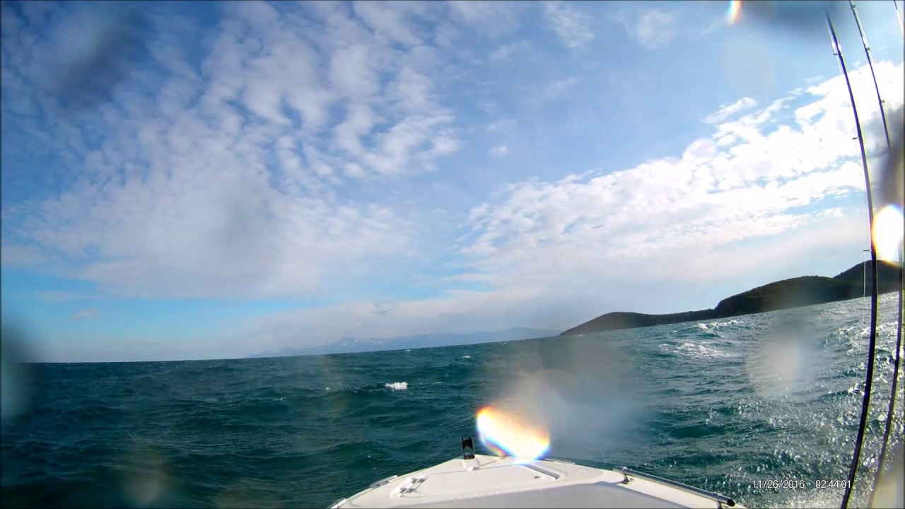 compass 135cc in waves