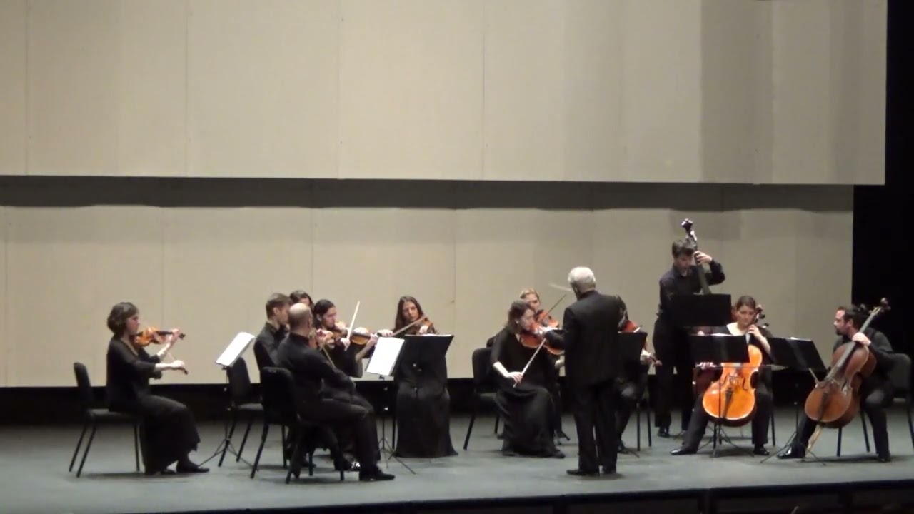Mendelssohn Octet for strings (orchestral version) / Rachlevsky, Russian String Orchestra