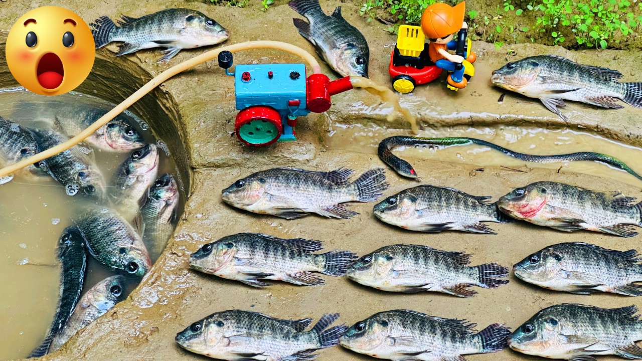 Catch fish using mini diesel engine water pump for fish | fishing exciting | diy tractor mini fish