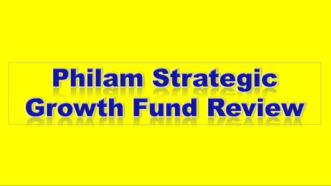 PHILAM ASSET MANAGEMENT INC: Philam Strategic Growth Fund Review