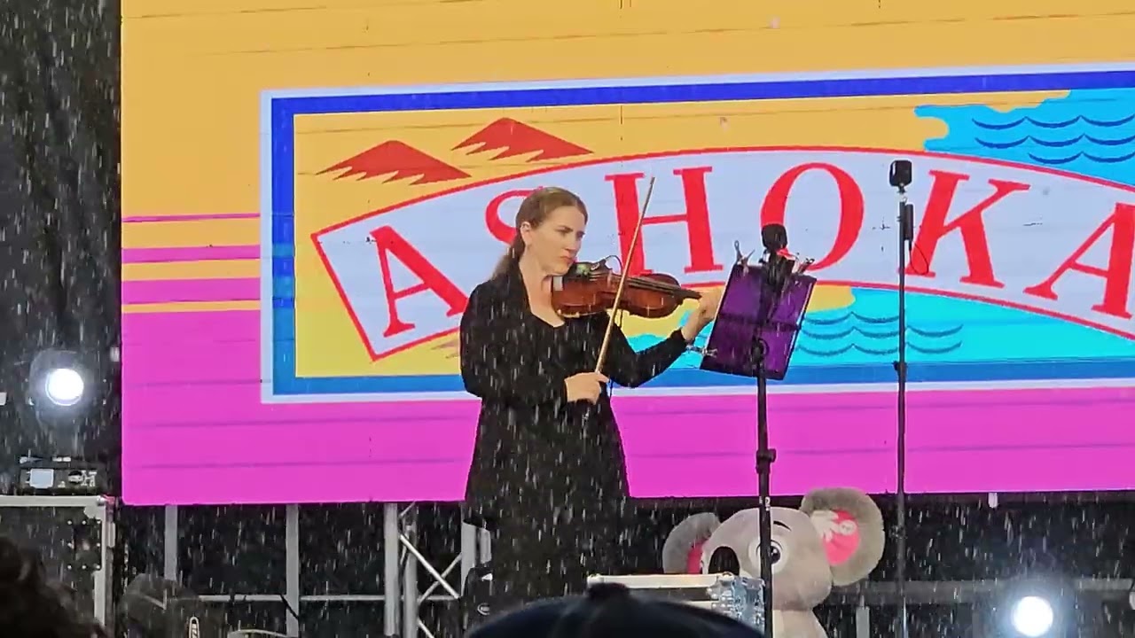 Adele -Set Fire to the Rain - Violin Cover by Albina Molodozhan