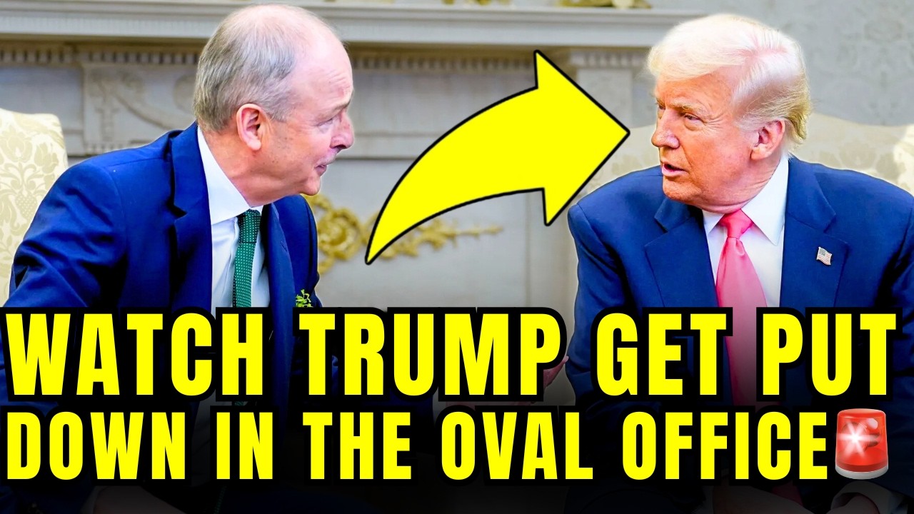WATCH: Ireland Just SILENCED Trump With HUMILIATING BOMB🚨
