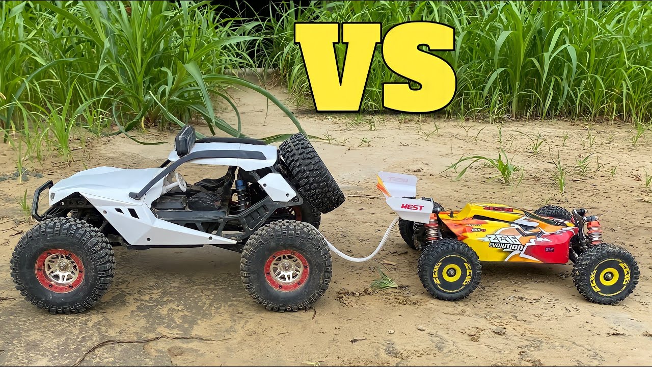 Wltoys 12429 vs Wltoys 144010 | Remote Control Car | Wltoys RC Car