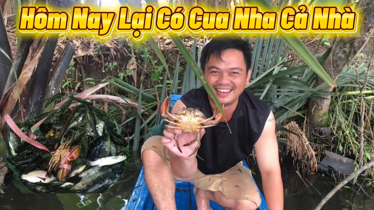 HÔM NAY LẠI CÓ CUA NHA CẢ NHÀ