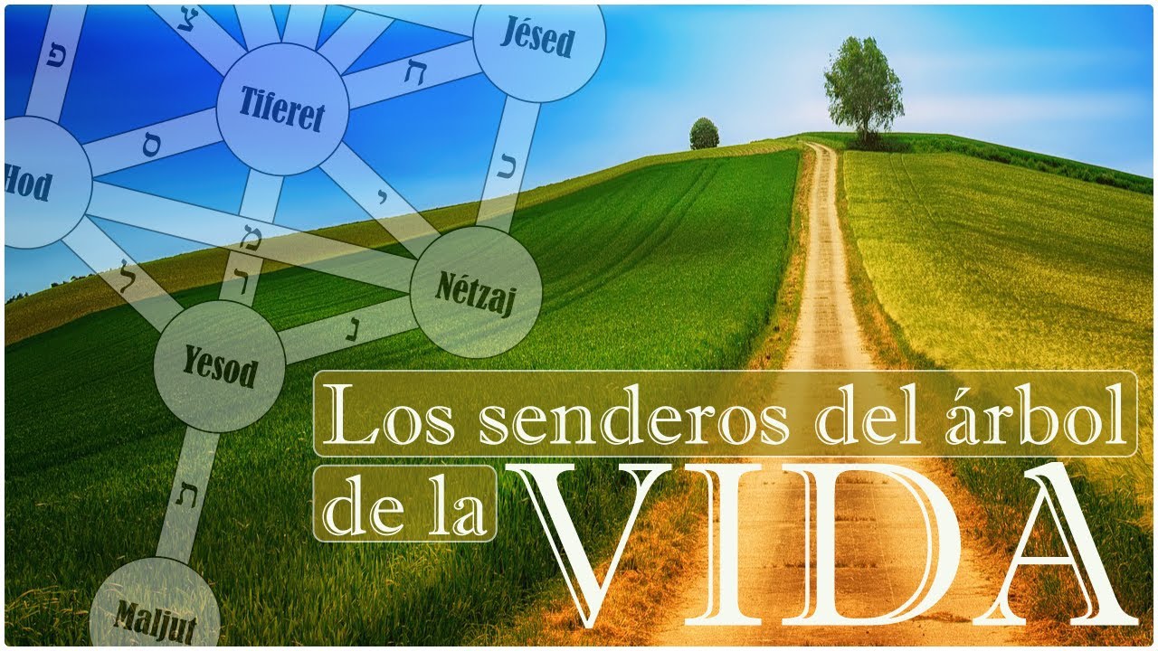 🌿| los SENDEROS del ÁRBOL de la VIDA |🌿 ANÁLISIS de las LETRAS HEBREAS y el UNIVERSO