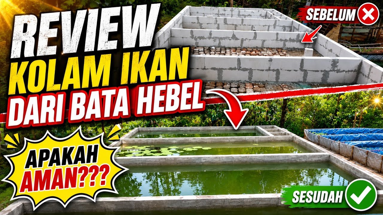 REVIEW KOLAM IKAN MENGGUNAKAN BATA HEBEL By: @hasby_farm #kolamikan #kolambeton #hebel