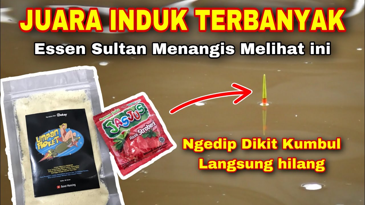 Umpan Galapung Tanpa Essen Yang Bikin Lapak Sebelah Meringis | Umpan Gacor Ikan Mas | Dekoy Fishing