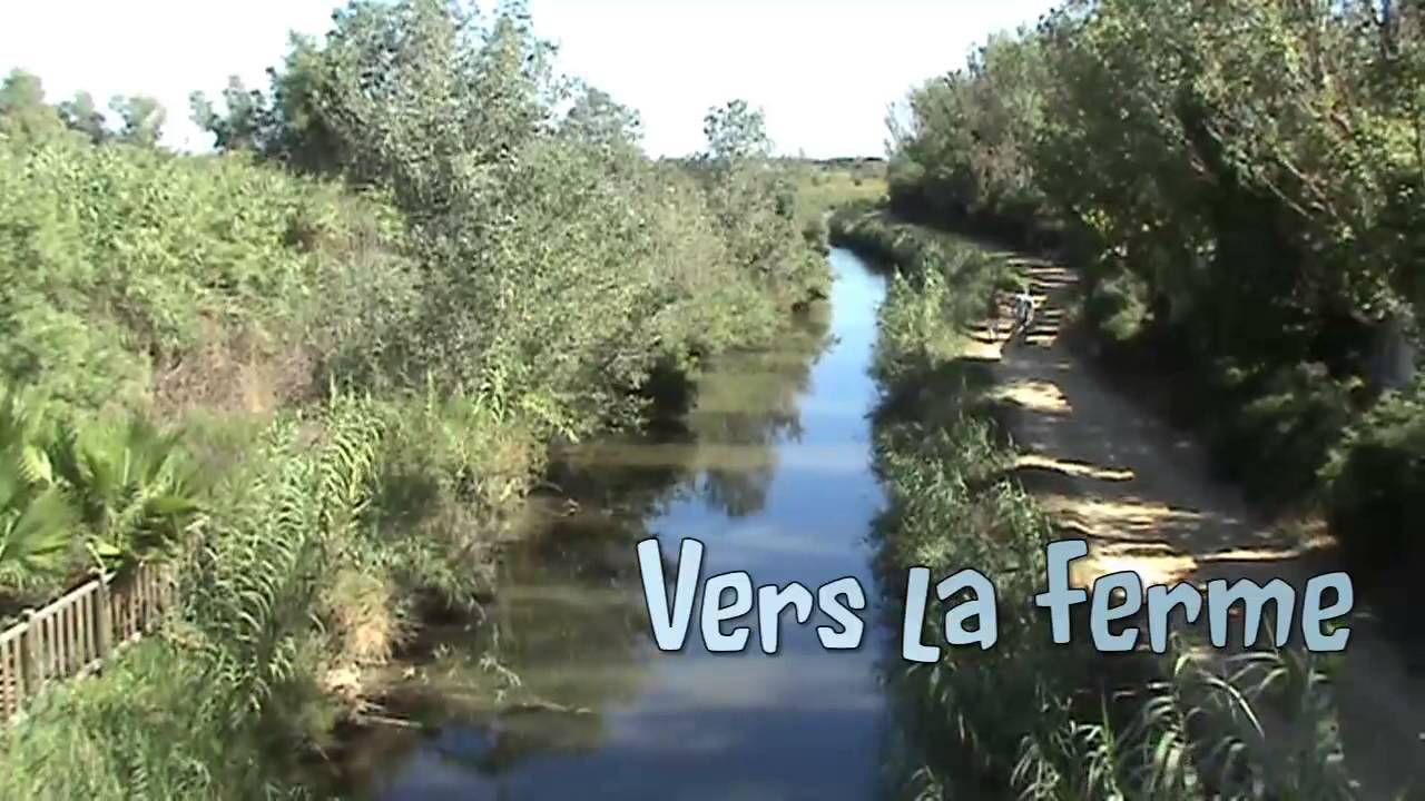 palais de la mer 2013