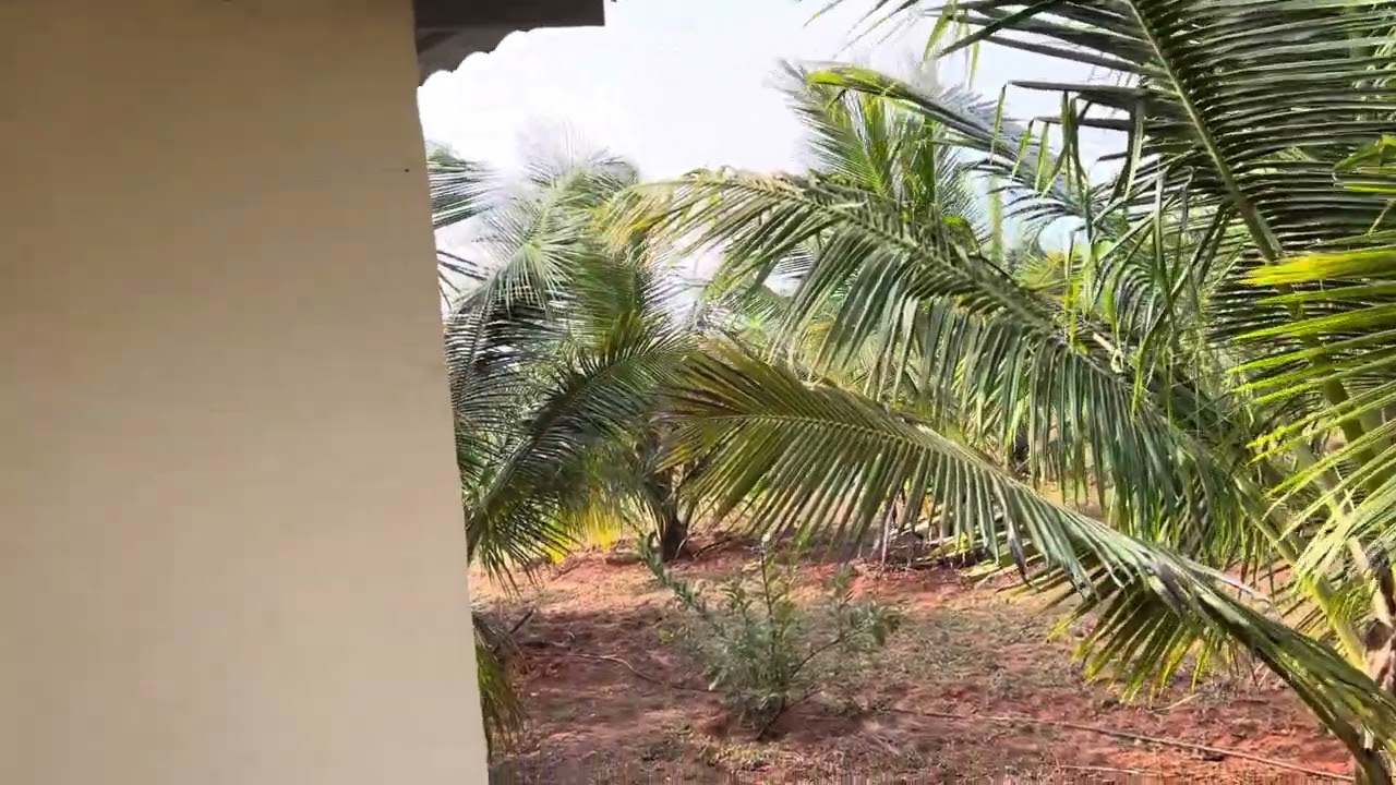 #agriculturallandforsale