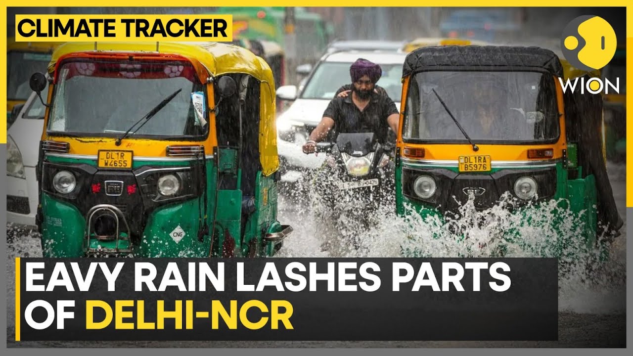 India:&nbsp;IMD Forecast Heavy Rainfall In Northeast, Eastern India | WION Climate Tracker