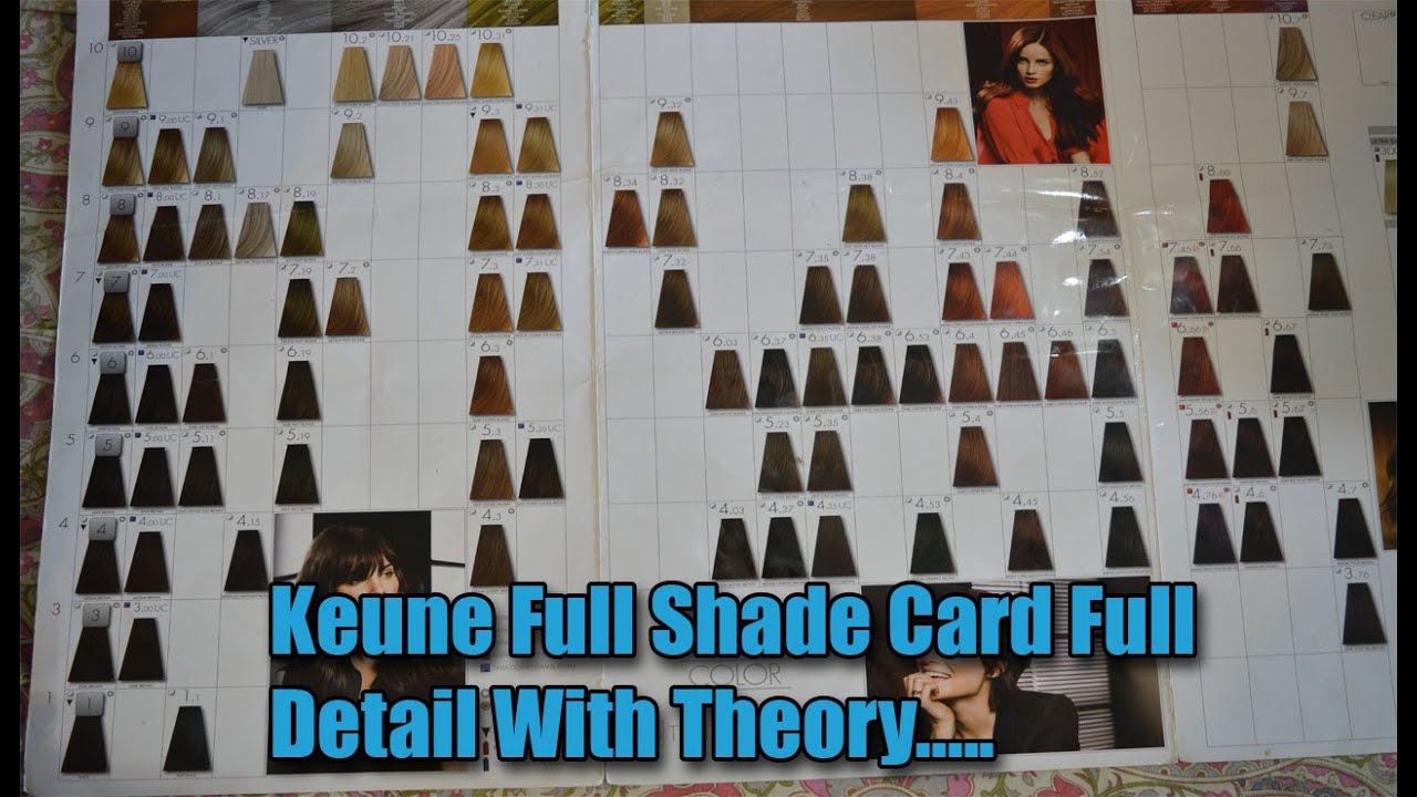 Keune Full Shade Card Class With Detail |Level 1 To 10 |By The Stylish Mod