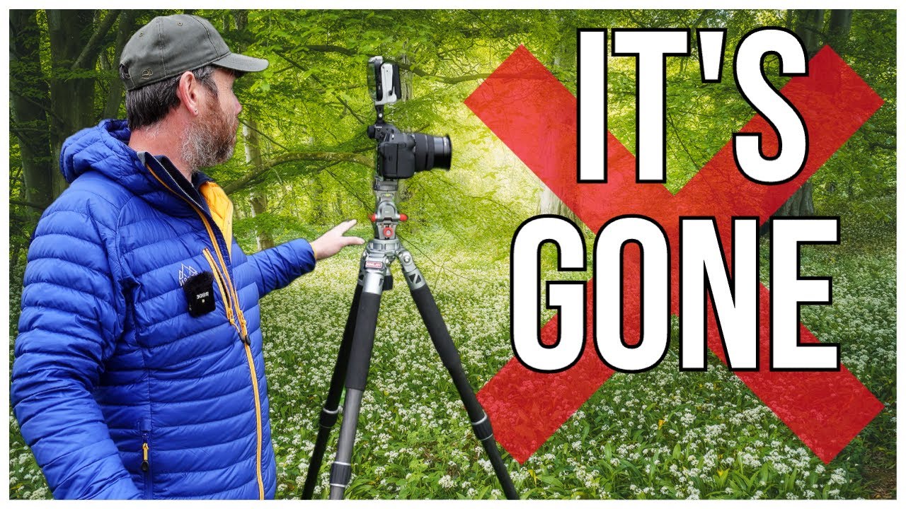 Why You Should Always Take The Shot: Woodland Landscape Photography
