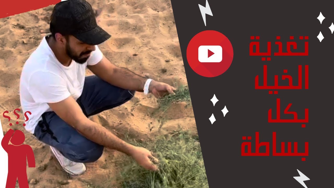 تغذية الخيل بكل بساطة | عبد المحسن المهيدب