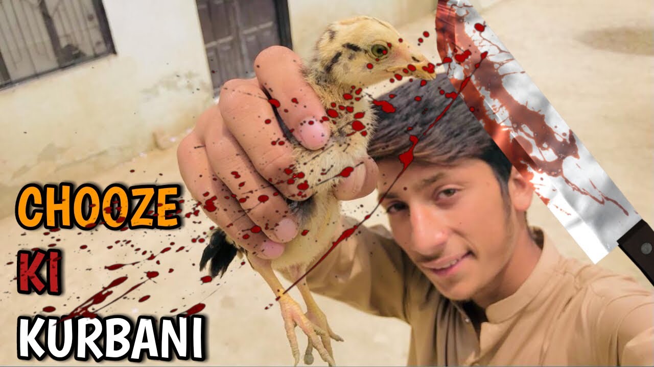 Chooze Ki qUrbani KareN gE||Chooze ko zibah karen ge😥