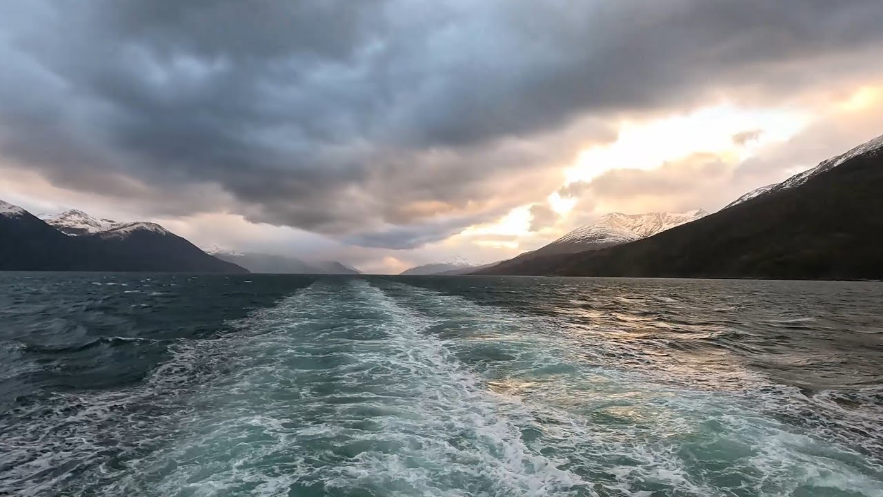 Expedición Antártida: viaje a Isla Navarino