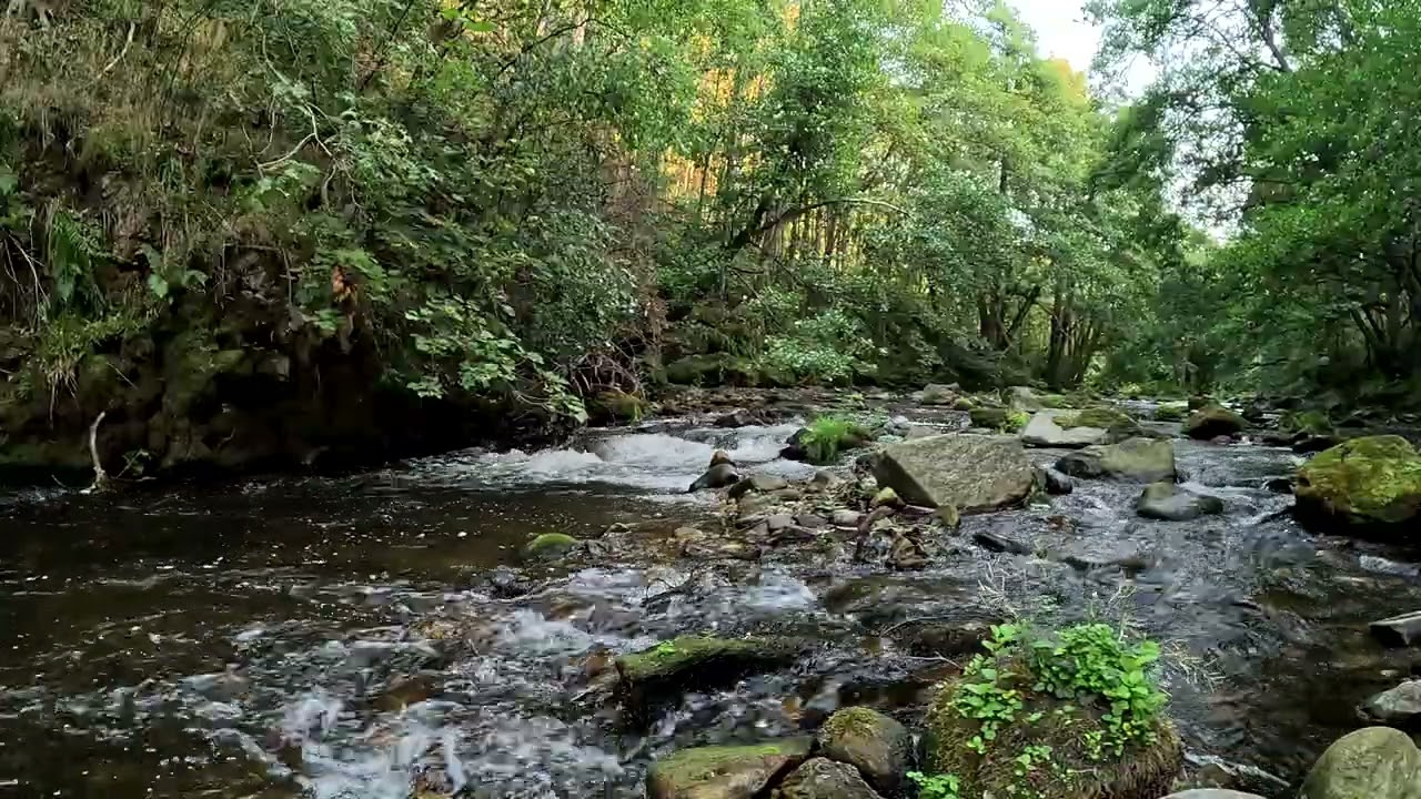 Peaceful Scottish Mountain River | Relaxing Nature Sounds for Sleep & Meditation