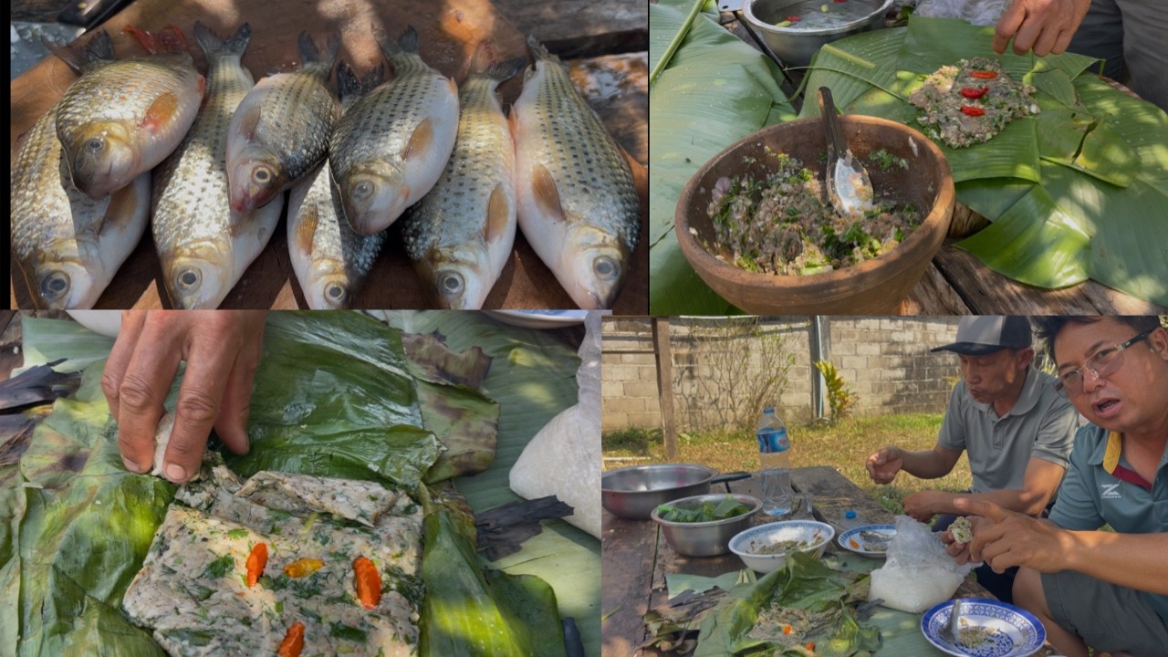 Ua ntses ncuav ci nplooj tsawb qab heev. 11/2/2026