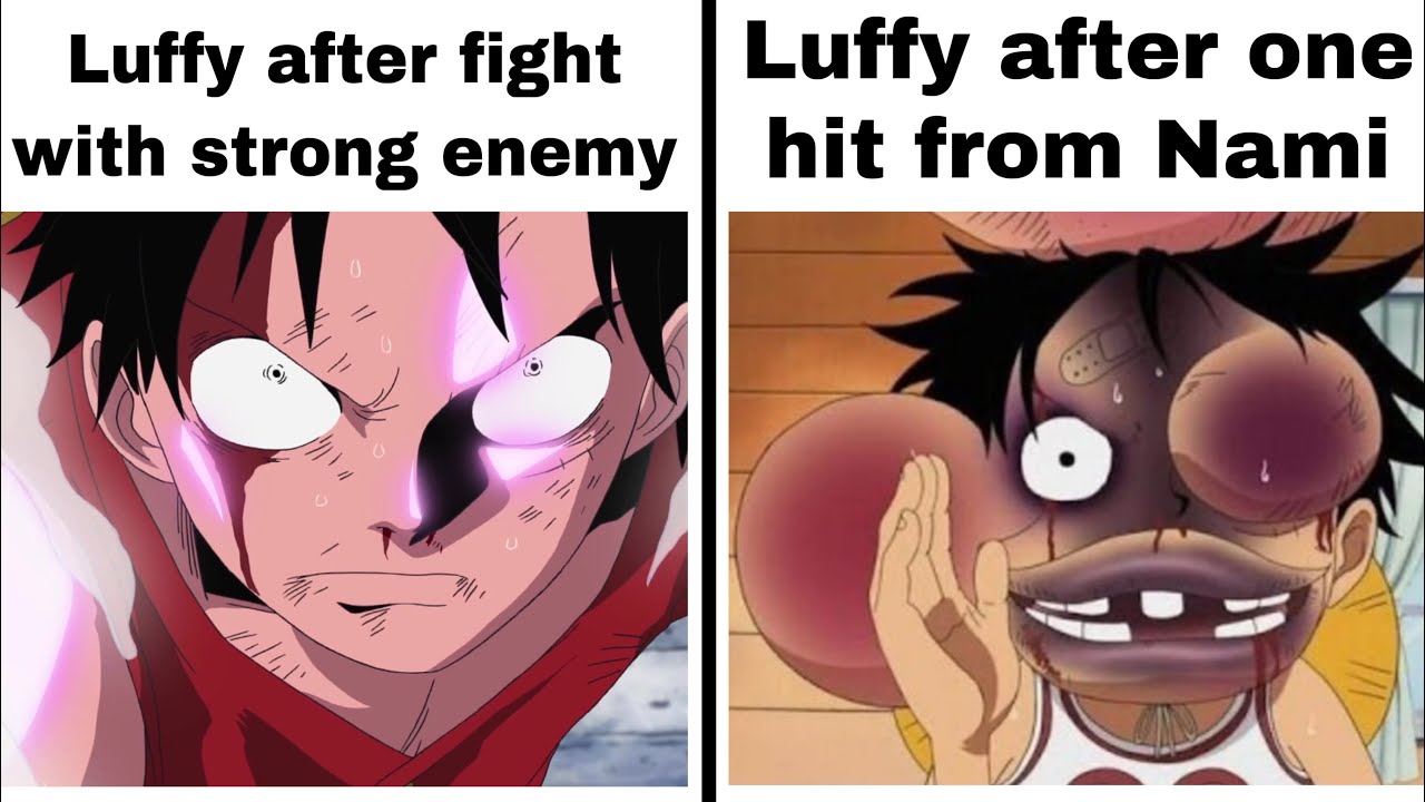 ONE PIECE MEMES 29