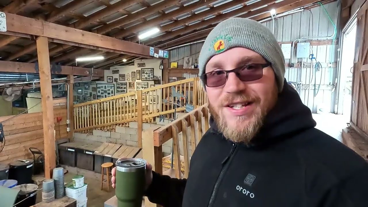 Adding New Horses to the Herd... This Is My Favorite Part