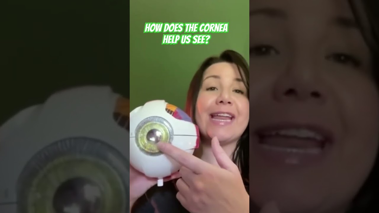 How does the cornea help us see? #anatomy #eye #cornea
