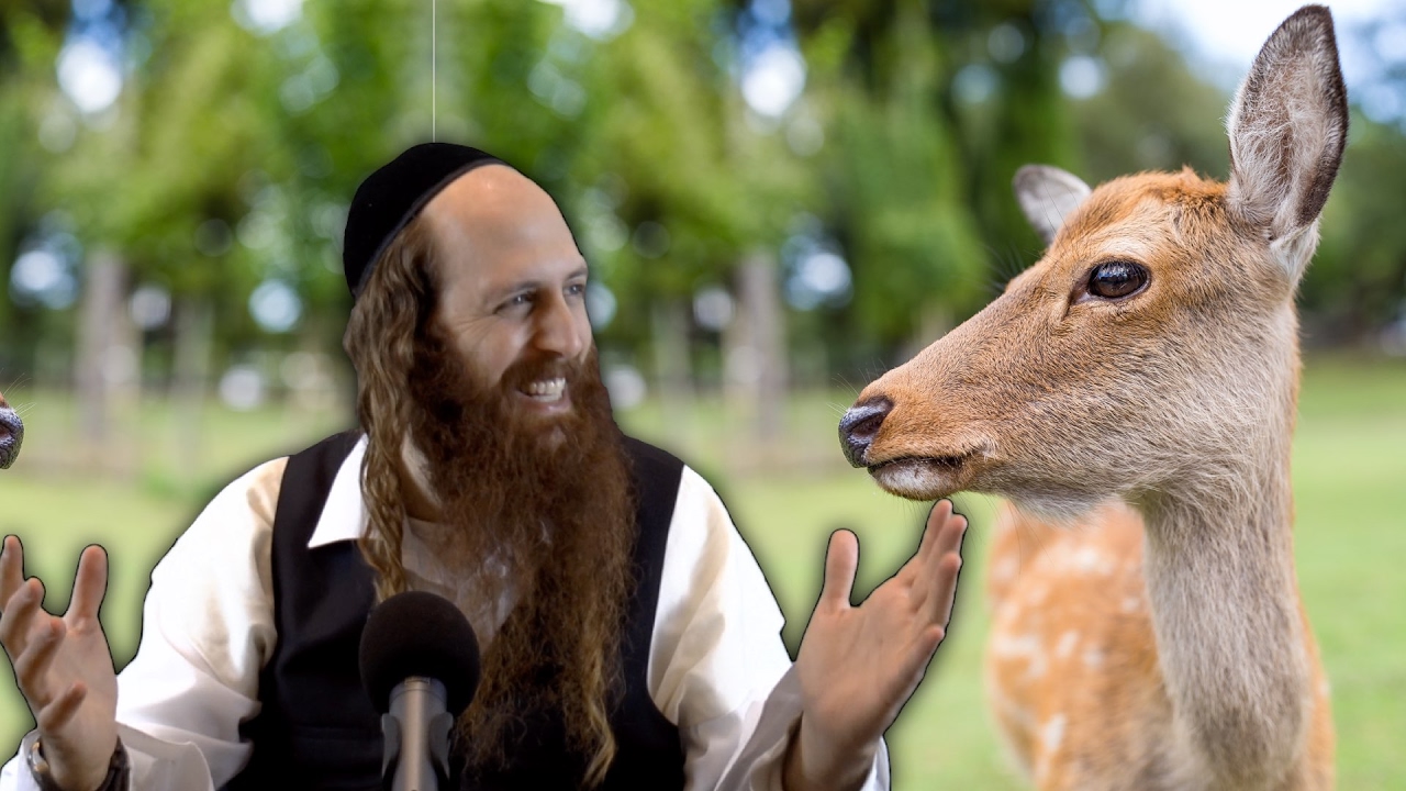 Rav Dror and the Dying Deer