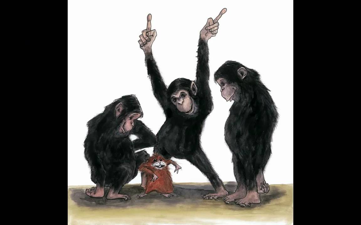 Kareltje en de Chimpansees