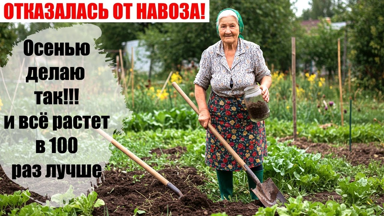 Я в Шоке! ОТКАЗАЛСЯ ОТ НАВОЗА! Осенью делаю так и всё растет в 100 раз лучше