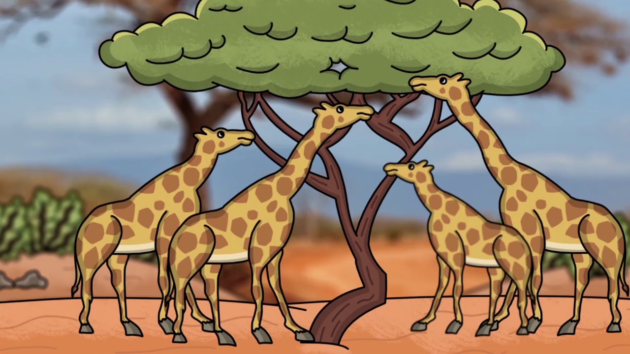 Die EVOLUTIONSTHEORIEN von LAMARCK und DARWIN erkl&auml;rt! | Sendung mit dem K&auml;nguru