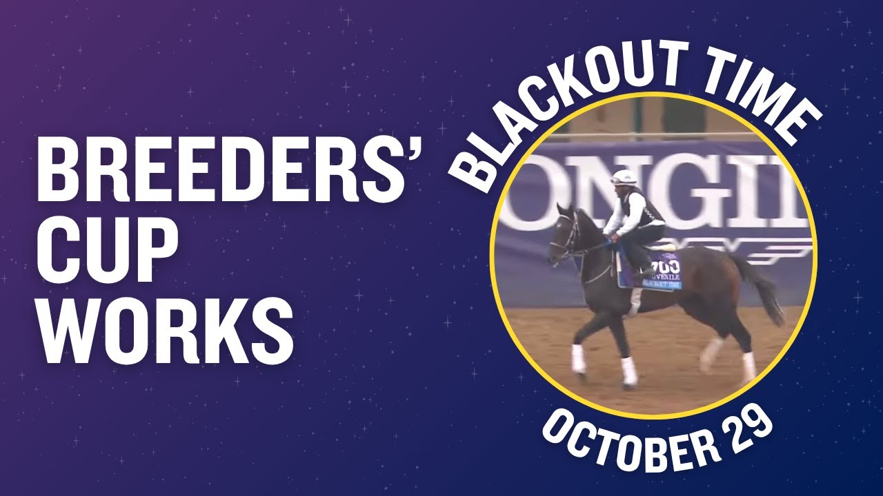 Breeders' Cup Juvenile Contender BLACKOUT TIME was on the Track October 29th