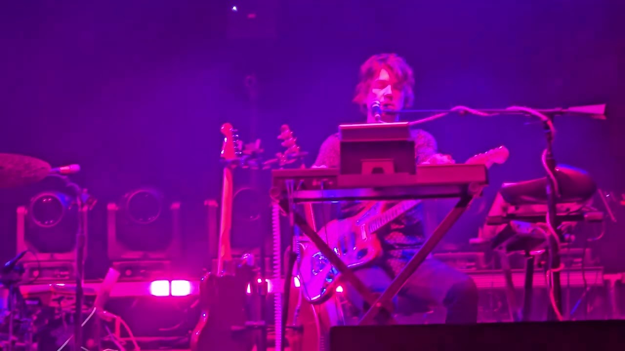 The Flaming Lips 