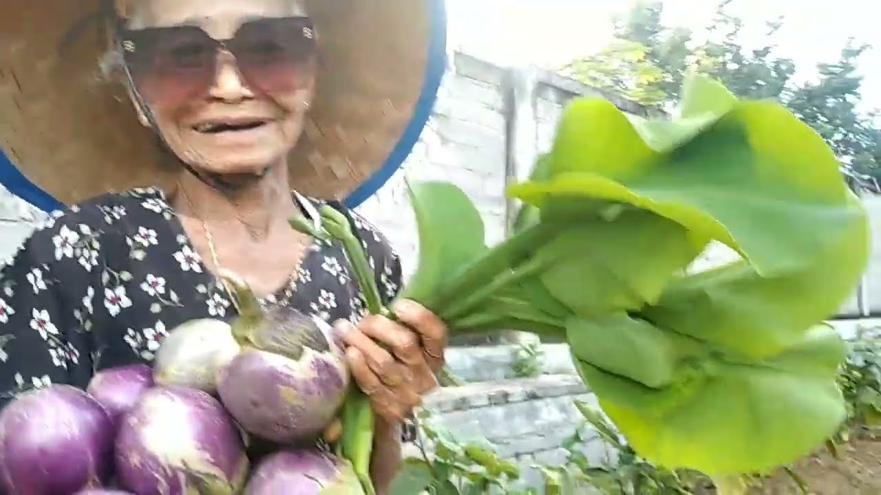 Tanam aja  genjer yang mudah kalau lahan  mu sempit cung  !!  nenek aja bisa 😂😂