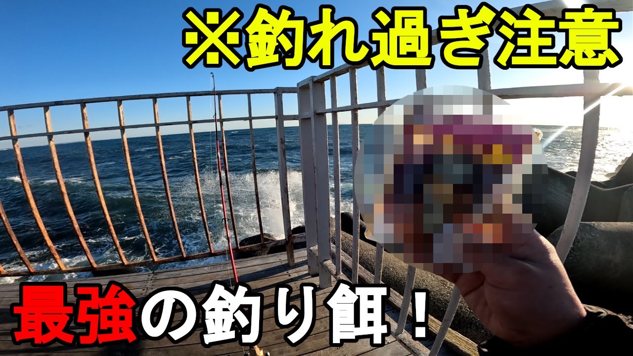 【神奈川県某所】スーパーの定番食材(298円)で奇跡が連発！？海釣りオフシーズン期間の真冬の時期に、関東地方にある神奈川県の釣り場で、とある食べ物を釣り餌にして釣りしてみたら…！【2025年1月下旬】