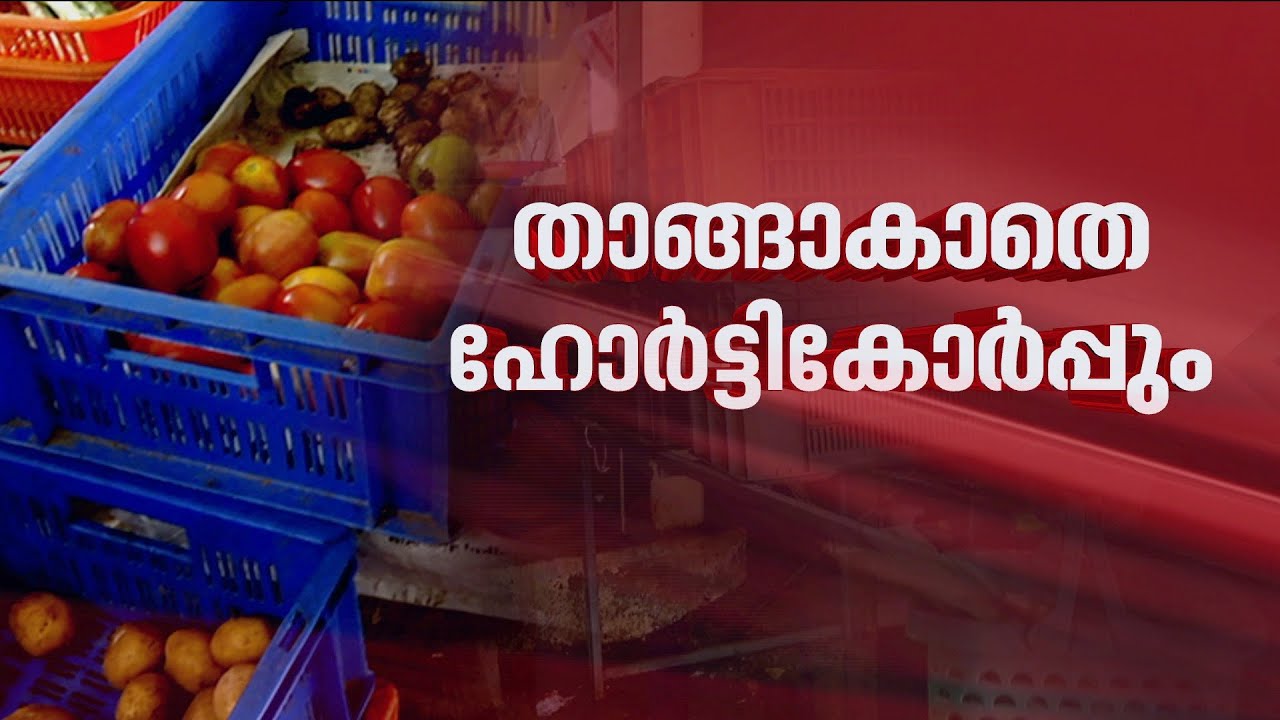 ഹോർട്ടിക്കോർപ്പിലും അവശ്യസാധനങ്ങളില്ല; കൈ മലർത്തി സർക്കാർ സ്ഥാപനം | Horticorp