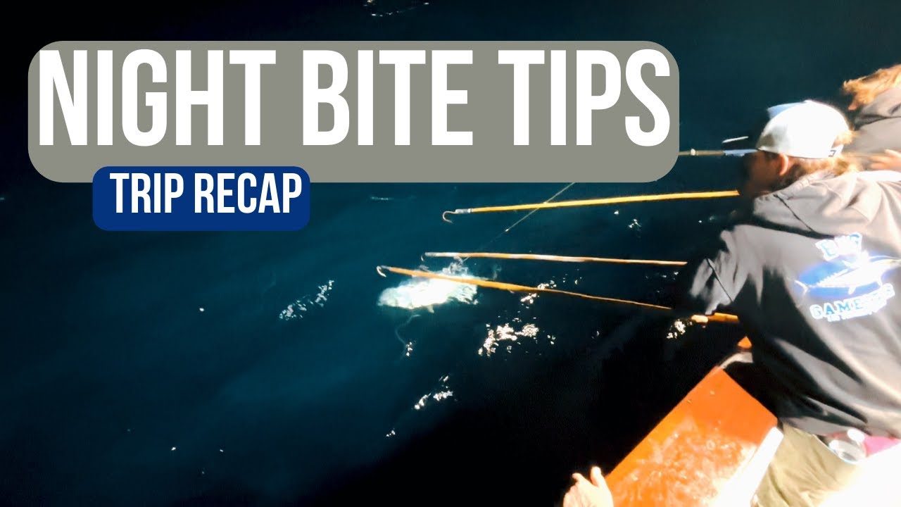 Must-Know Tuna Fishing Tips and Tricks