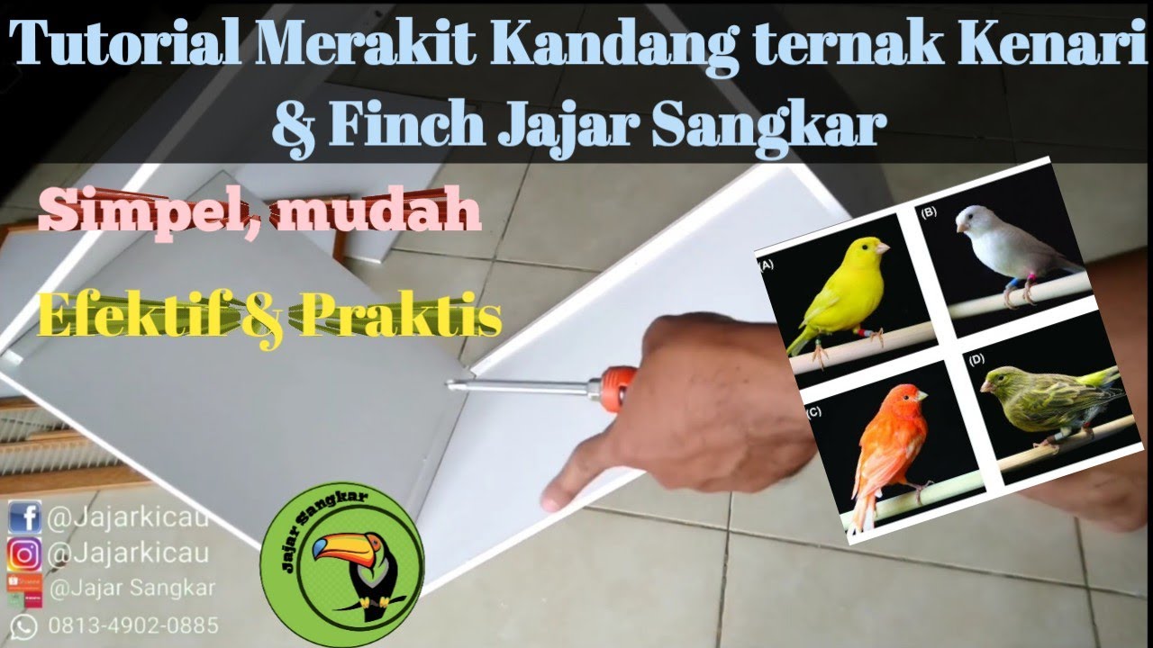 Tutorial / Cara merakit kandang box Jajar Sangkar l kandang breeding kenari
