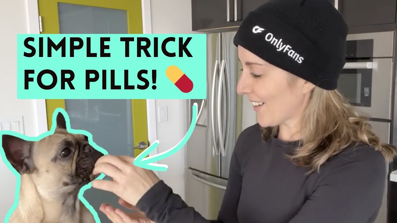 Easy Pill Giving Trick for My French Bulldog: Meds & Supplements!