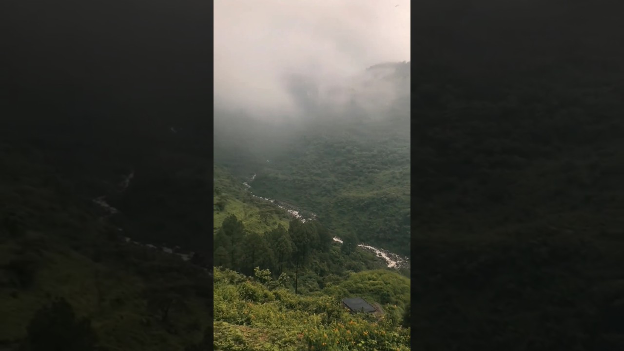 Monsoon View of Chirmiri #jannat#chirmiri#chhattisgarh#monsoon#views#barsat #villagelife#nature#cg