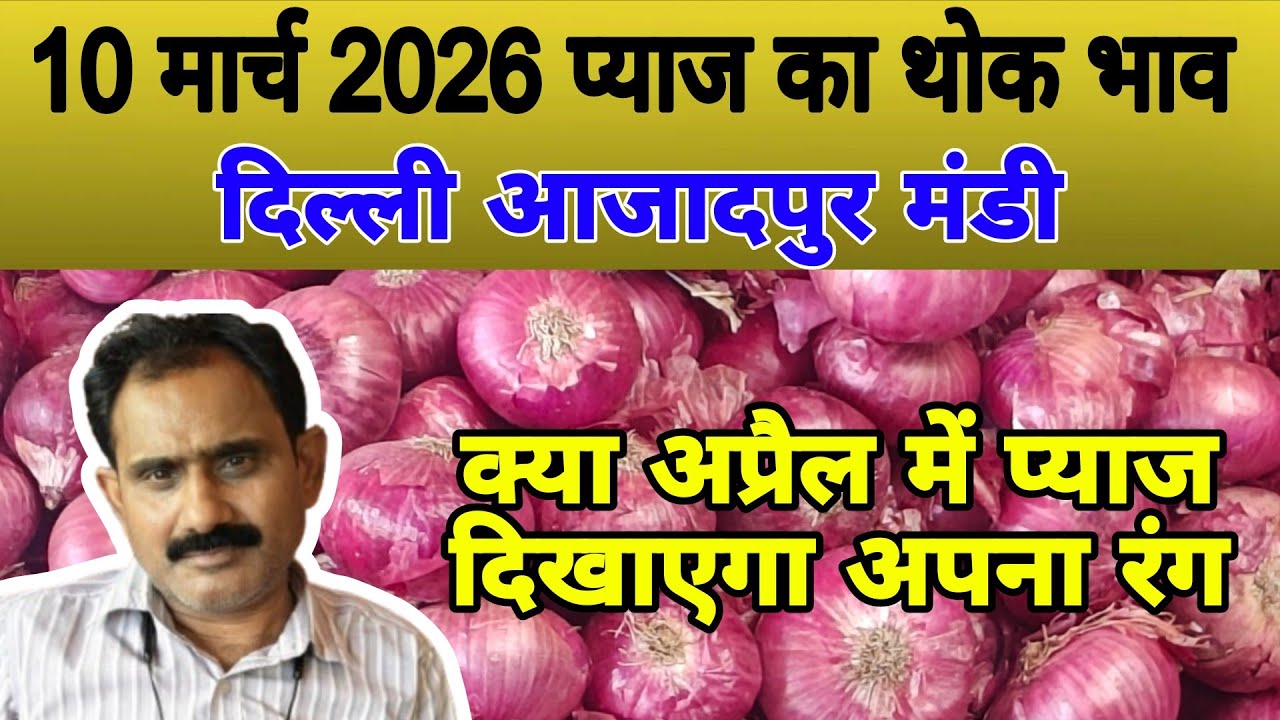 क्या अप्रैल में प्याज दिखाएगा अपना रंग | Today onion price | pyaj ka bhav #onionrate #pyaj #onion