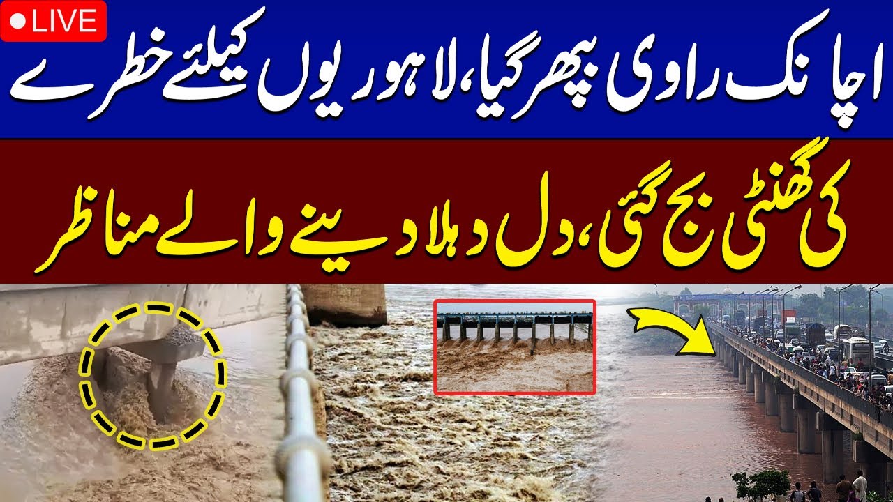 LIVE 🚨 Ravi River Flood Update | Lahore on High Alert | Punjab Flood Situation | SAMAA TV